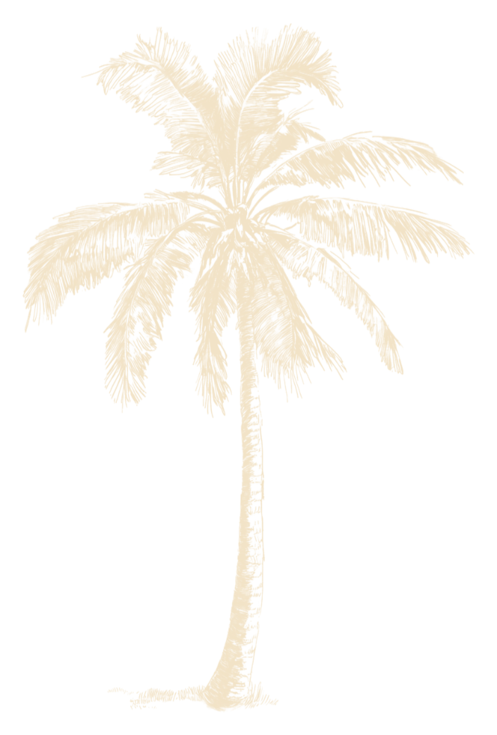 palm tree