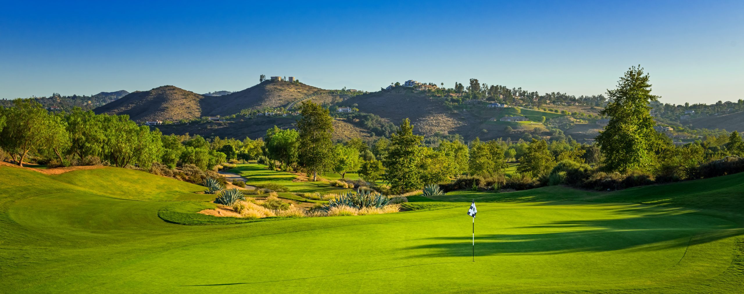 33rd Annual Dons Golf Classic