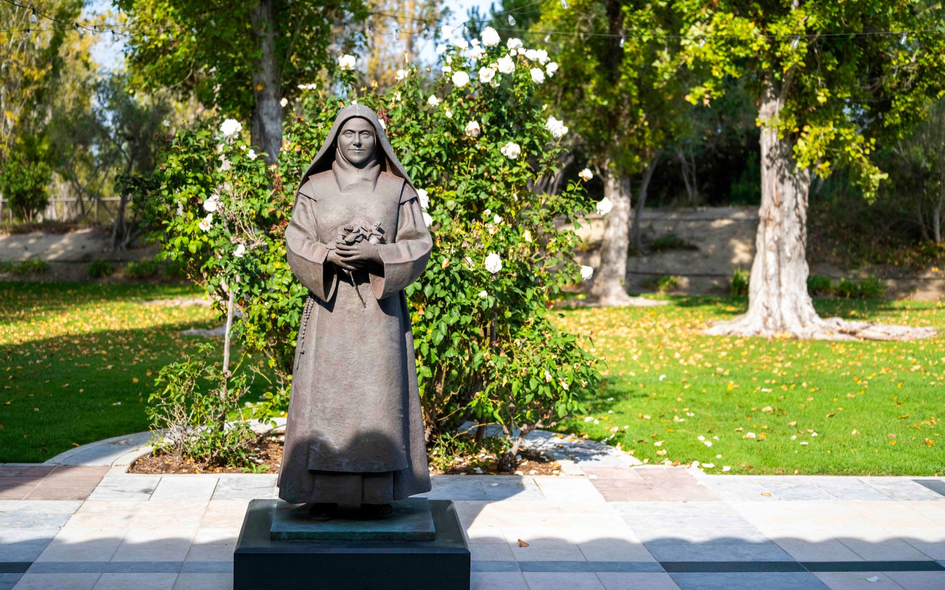 Catholic Mission Overview